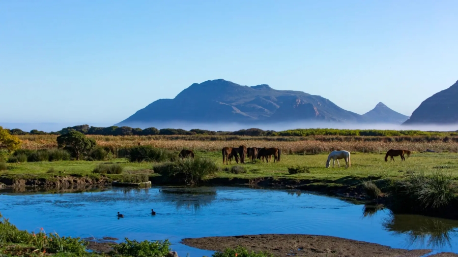0 Bedroom Property for Sale in Kommetjie Western Cape